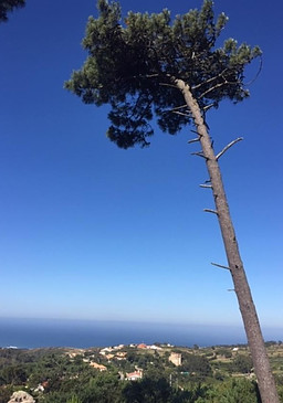 Sintra National Park