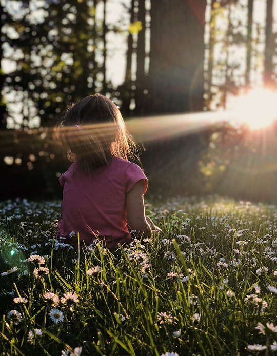 Mindfulness in Nature