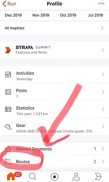 Strava App